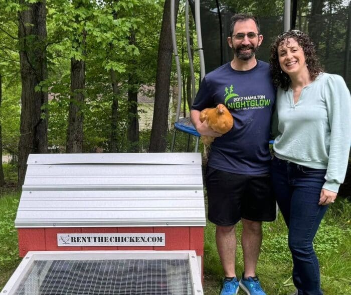 Pronajem slepic Pronajem slepic